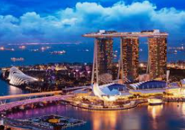 旺财28.ccpc29APP最新版