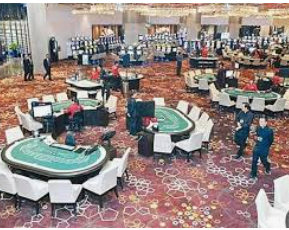 旺财28.ccpc29APP免费版